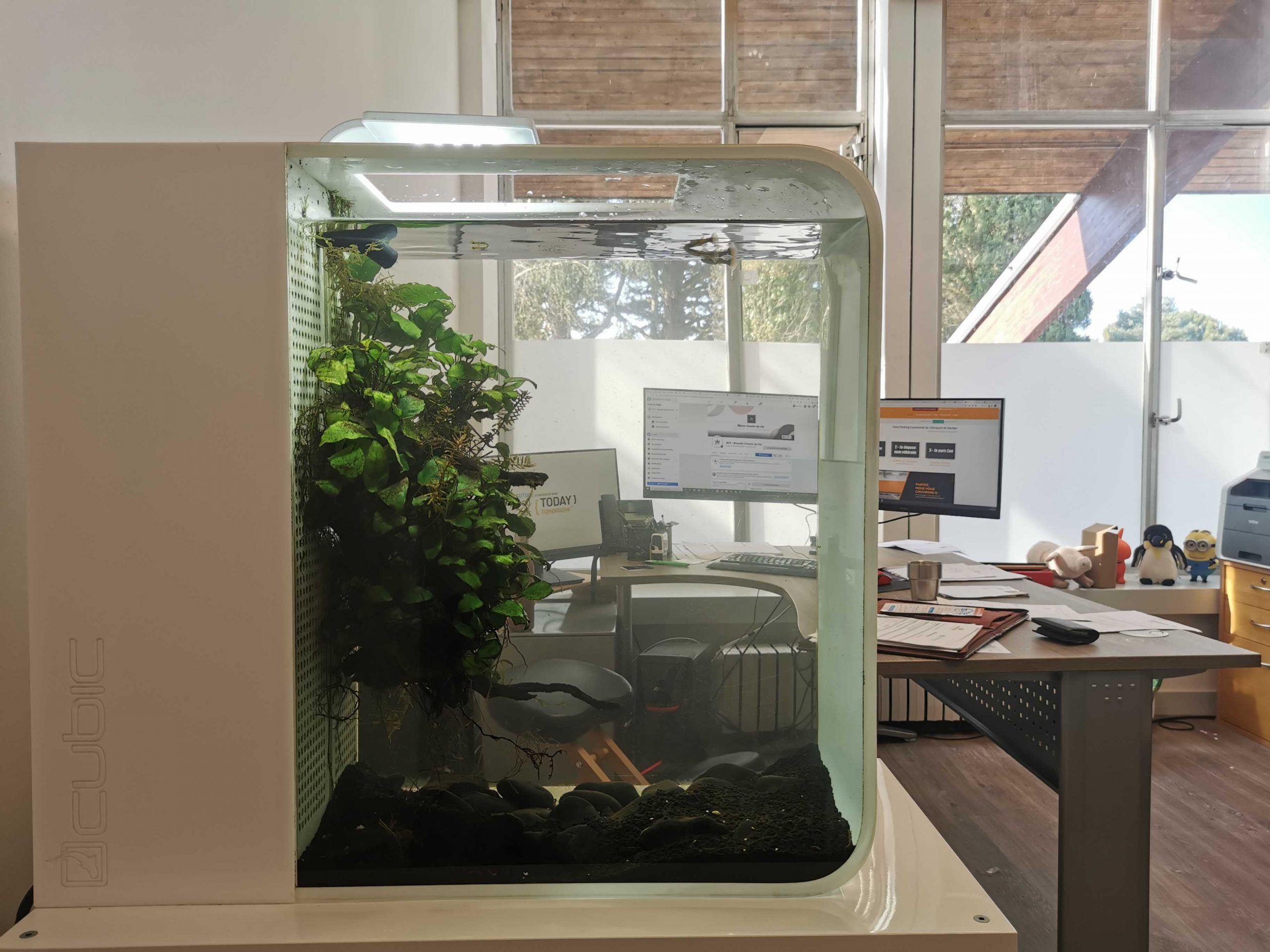 Aquarium, bureau